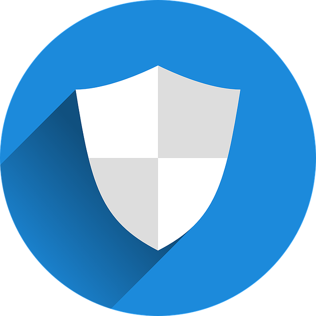Learn How to Choose the Best VPN Service for You